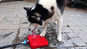 outdoor water fountain