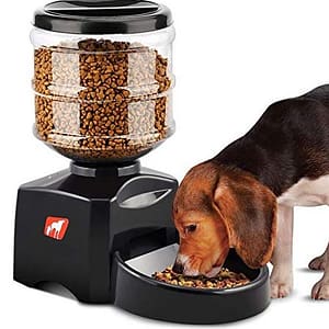 dog feeder