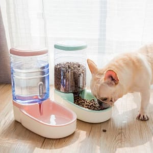 pet feeder