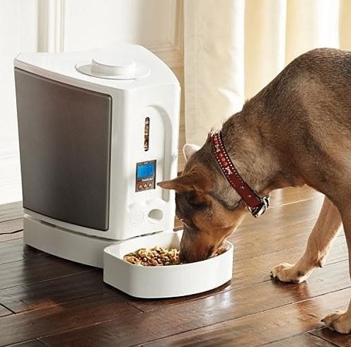 automatic dog feeder